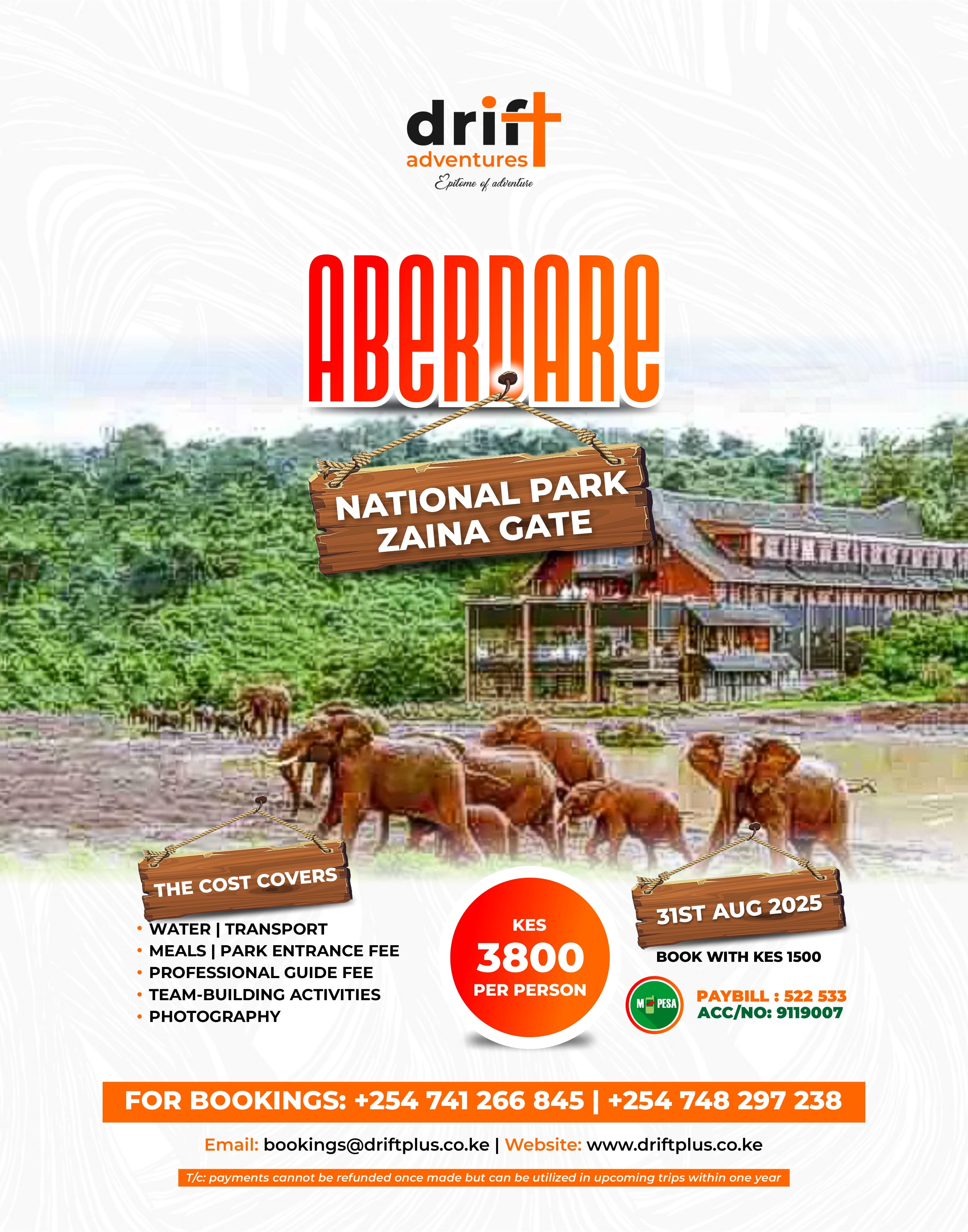 Aberdare National Park Day Trip from Nairobi | Zaina Gate Adventure